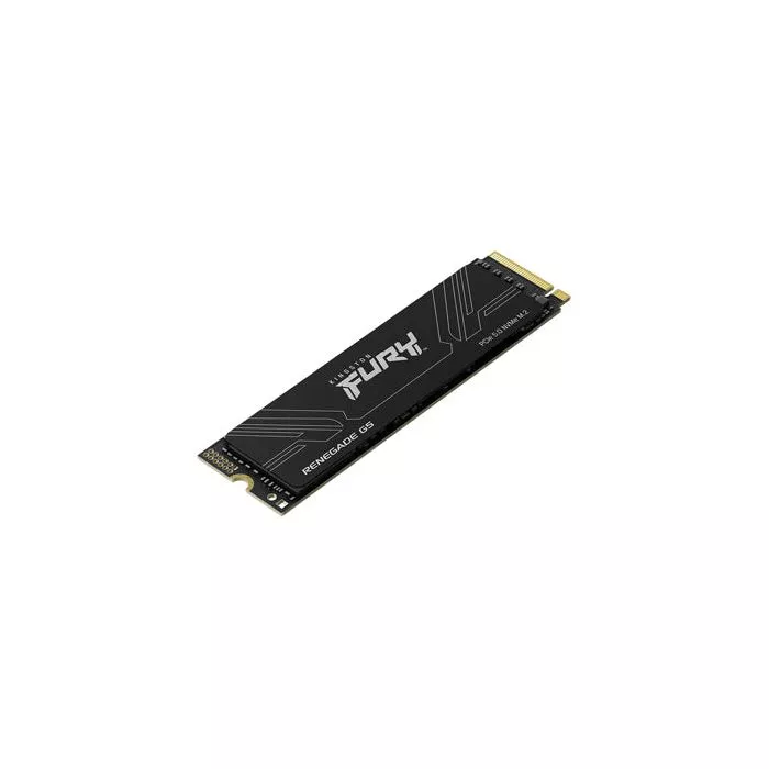 Kingston FURY Renegade G5 1TB PCIe 5.0 NVMe SSD - Speed Unleashed