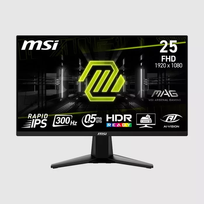 MSI MAG 255XF 25