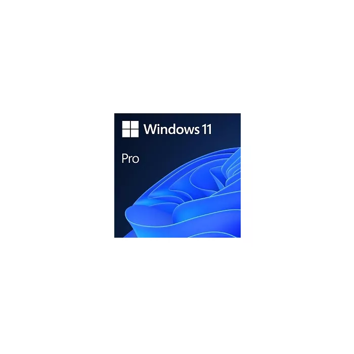 Buy Microsoft Windows 11 Pro 64-bit - OEM Package Online