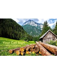 Personalized Standard QSL Cards (Pack of 100)