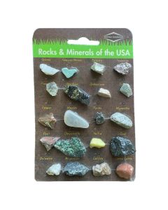 Rocks of the USA Compact Curiosities Rock Collection