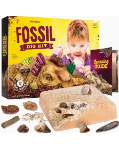 Fossil Dig Kit For Kids