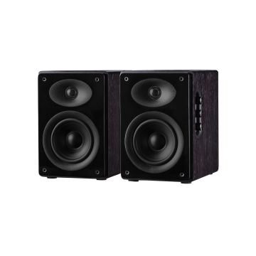 Swan Speakers D1080MKII
