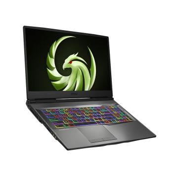 MSI Alpha 17 RYZEN 7 4800H RX5600M 16G 512G WIN10 - ALPHA17A006