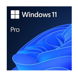 Buy Microsoft Windows 11 Pro 64-bit - OEM Package Online