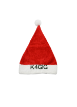Personalized Red/White Plush Santa Hat